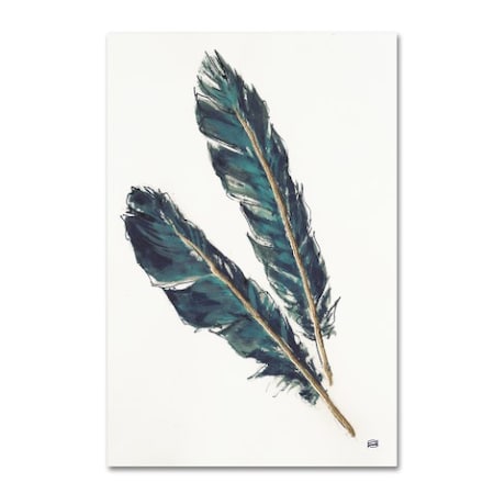 Chris Paschke 'Gold Feathers III Indigo' Canvas Art,16x24